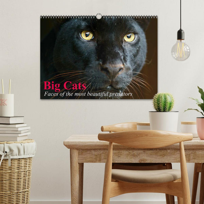 Big Cats • Faces of the most beautiful predators (CALVENDO Monthly Calendar 2026)