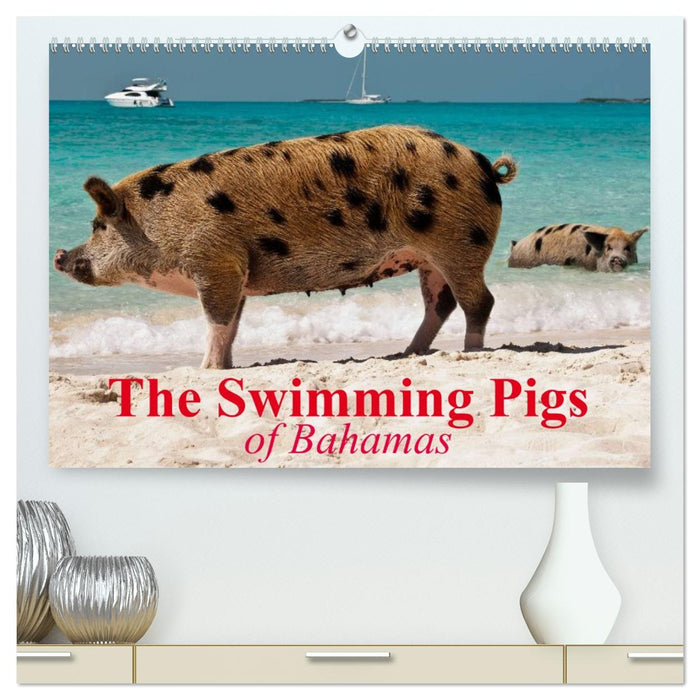 The Swimming Pigs of Bahamas (CALVENDO Premium-Calendar 2026)