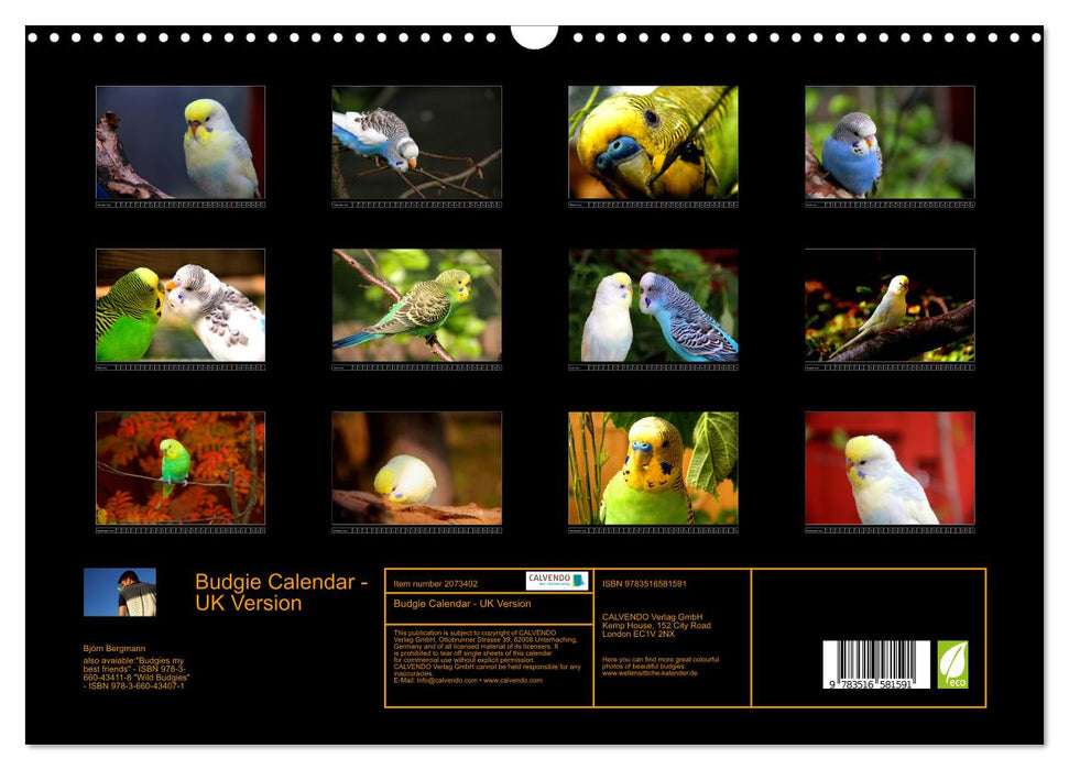 Budgie Calendar - UK Version (CALVENDO Monthly Calendar 2026)