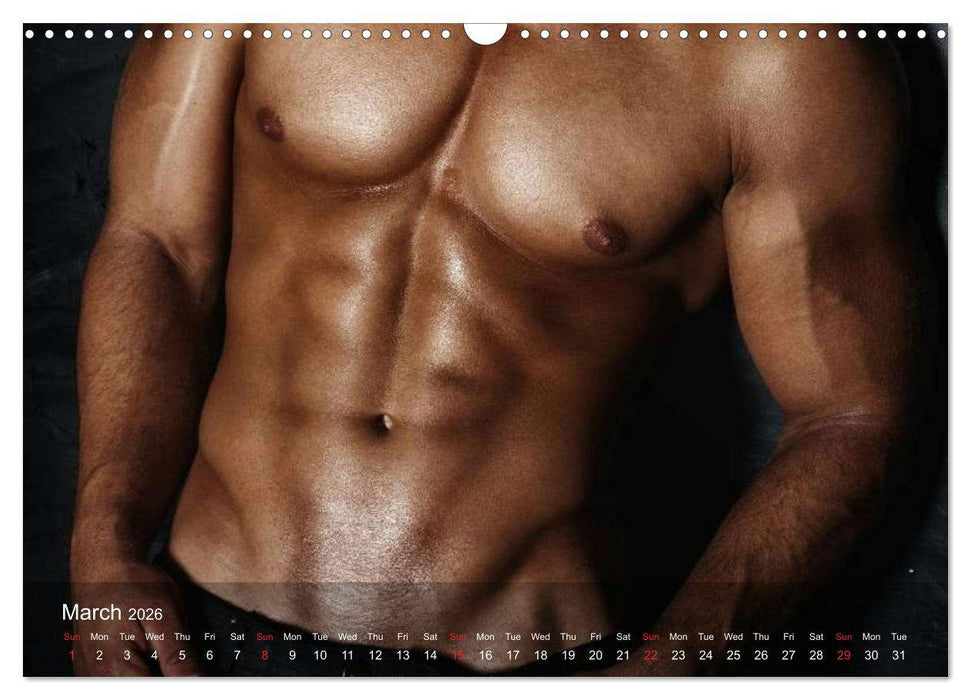 Erotica • Gladiators & Angels (CALVENDO Monthly Calendar 2026)