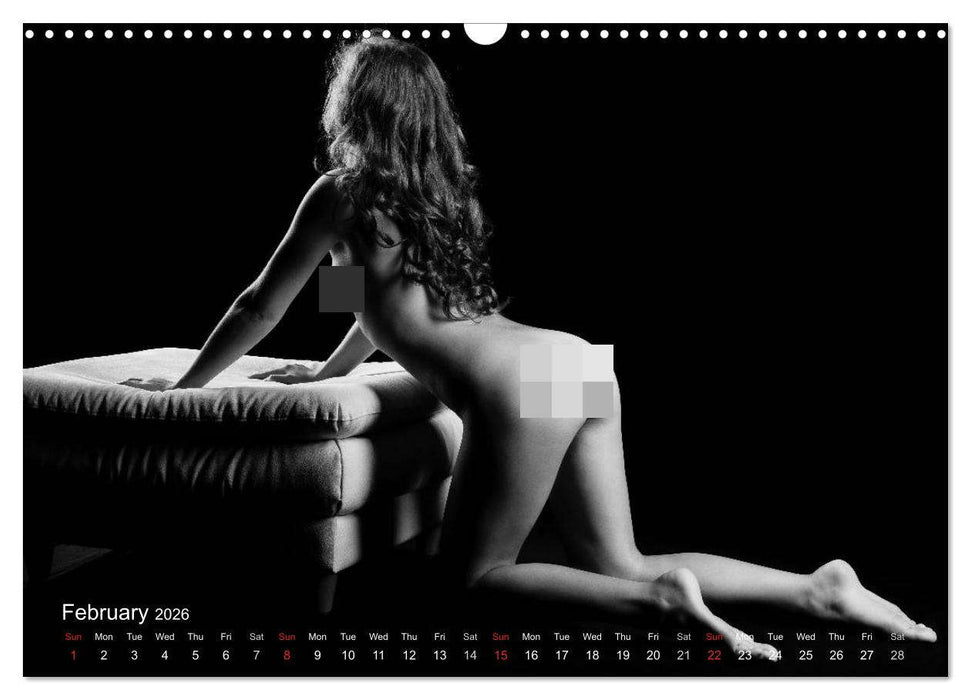 Erotic Fingerprints – Remarkable Skin Impressions (CALVENDO Monthly Calendar 2026)