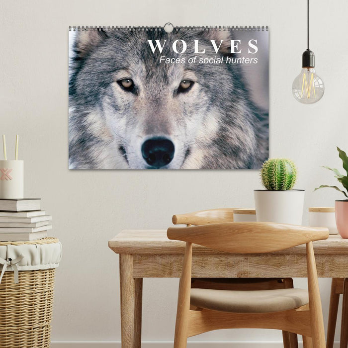 Wolves • Faces of social hunters (CALVENDO Monthly Calendar 2026)