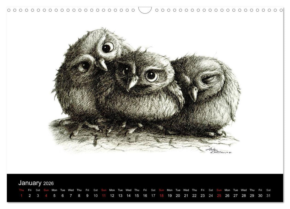 owls & friends 2026 (CALVENDO Monthly Calendar 2026)