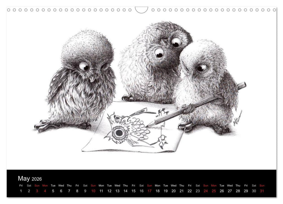 owls & friends 2026 (CALVENDO Monthly Calendar 2026)