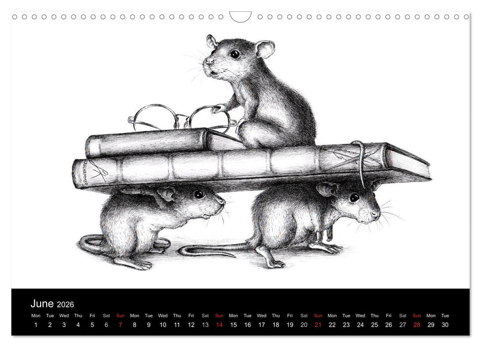 owls & friends 2026 (CALVENDO Monthly Calendar 2026)