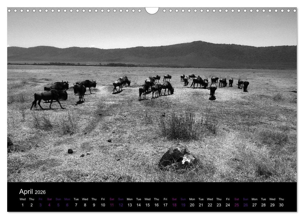 East Africa - Tanzania and Kenya / UK-Version (CALVENDO Monthly Calendar 2026)