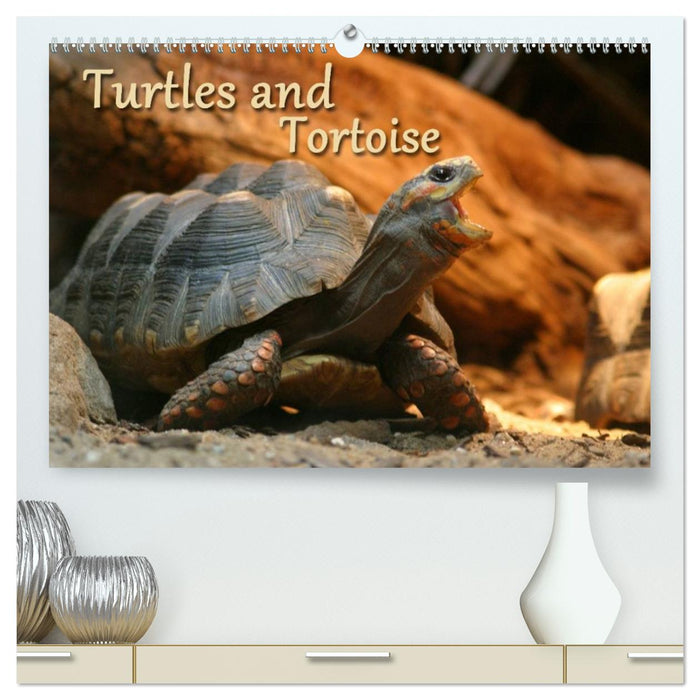 Turtles and Tortoise / UK-Version (CALVENDO Premium-Calendar 2026)