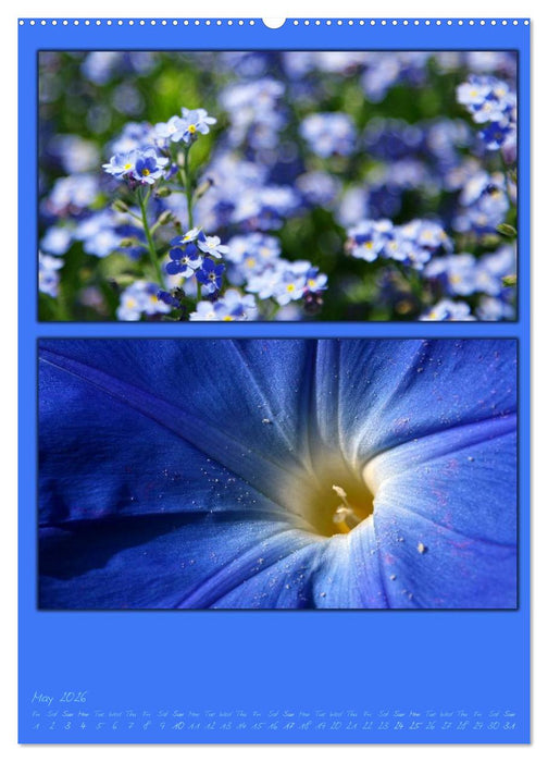 Colours of Nature / UK-Version (CALVENDO Premium-Calendar 2026)