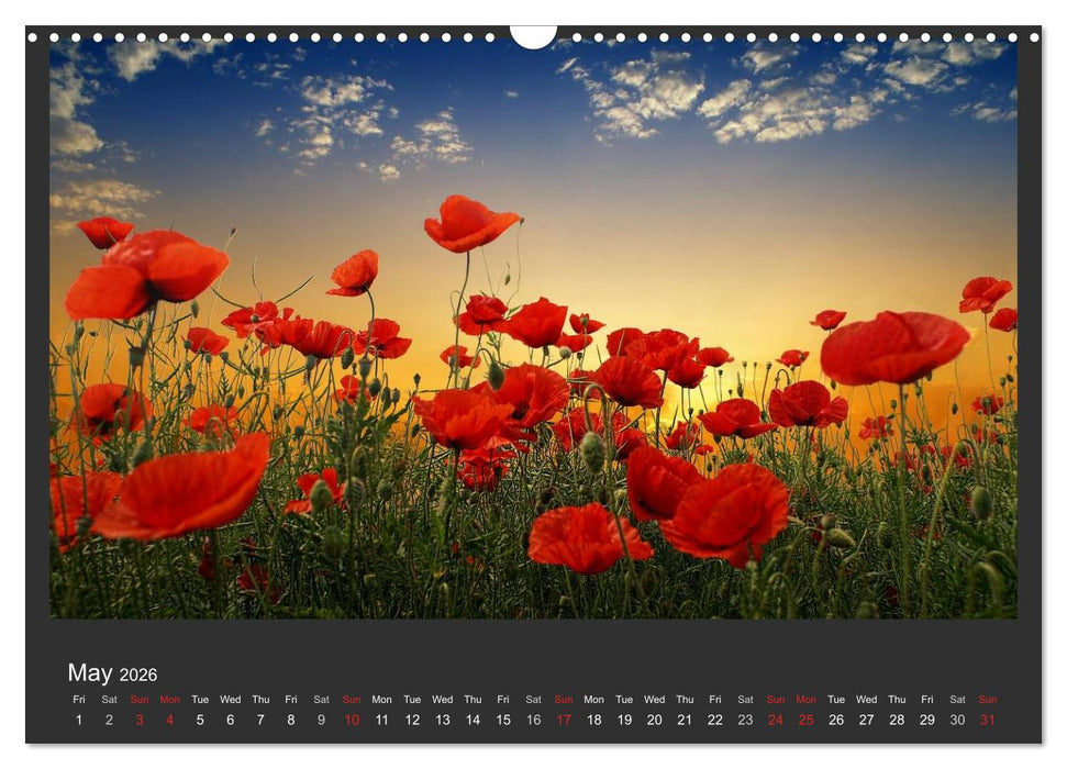 Adorable Nature - Images from Bulgaria / UK-Version (CALVENDO Monthly Calendar 2026)