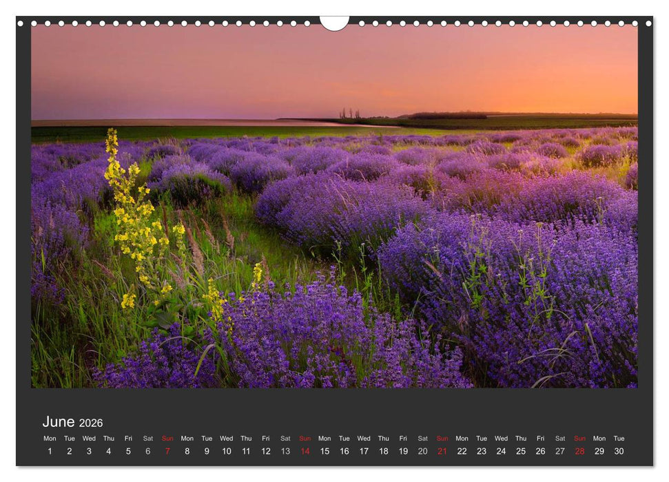Adorable Nature - Images from Bulgaria / UK-Version (CALVENDO Monthly Calendar 2026)