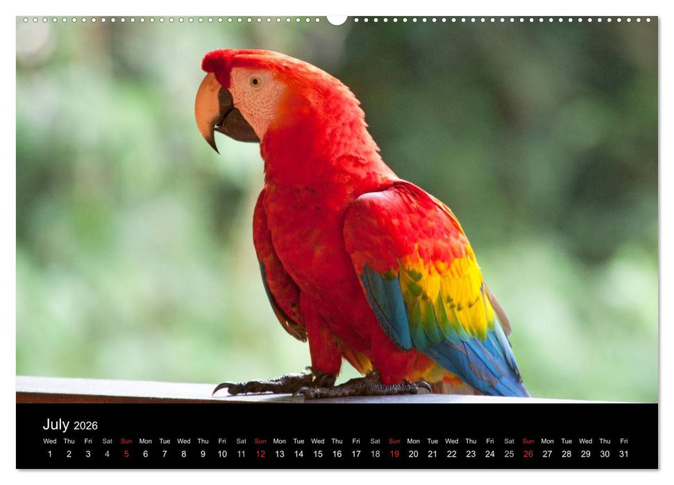 Peru - from the Andes to the Amazon / UK-Version (CALVENDO Premium-Calendar 2026)