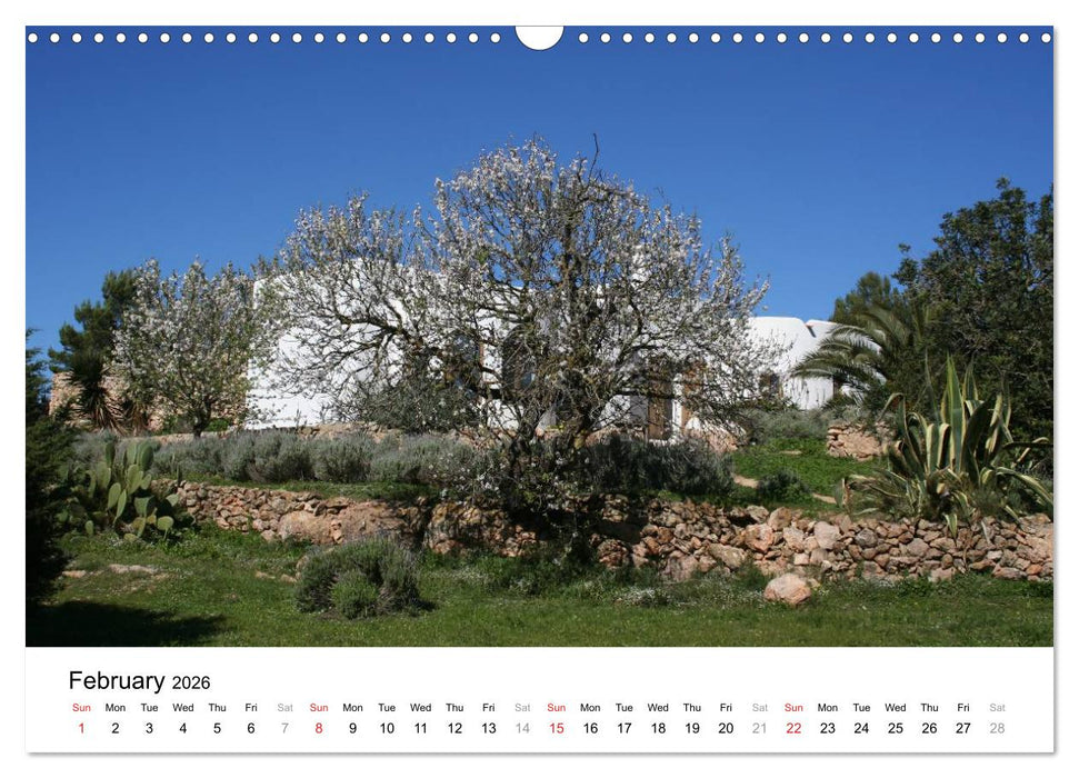 Beautiful Ibiza / UK-Version (CALVENDO Monthly Calendar 2026)