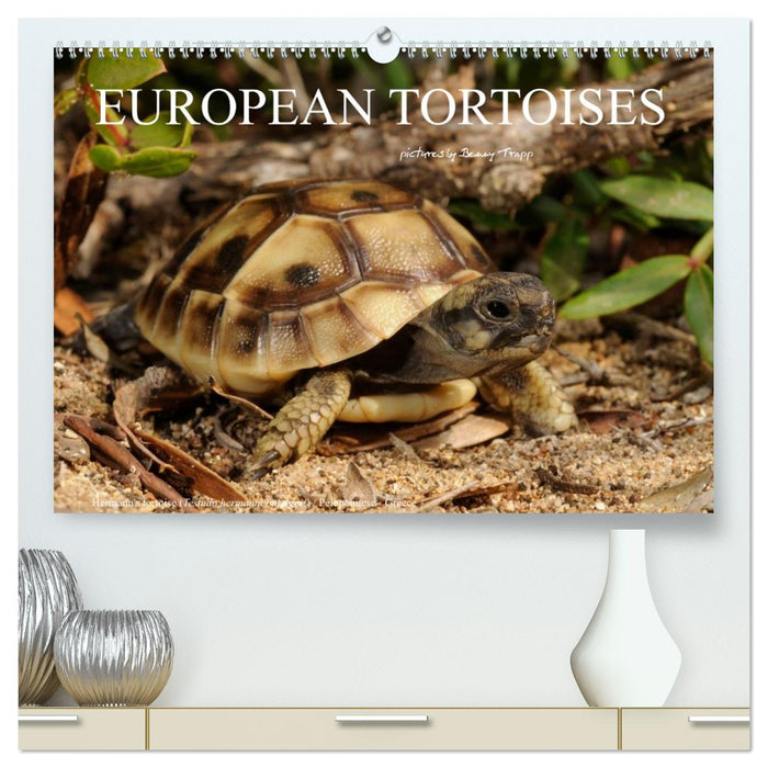European Tortoises / UK-Version (CALVENDO Premium-Calendar 2026)