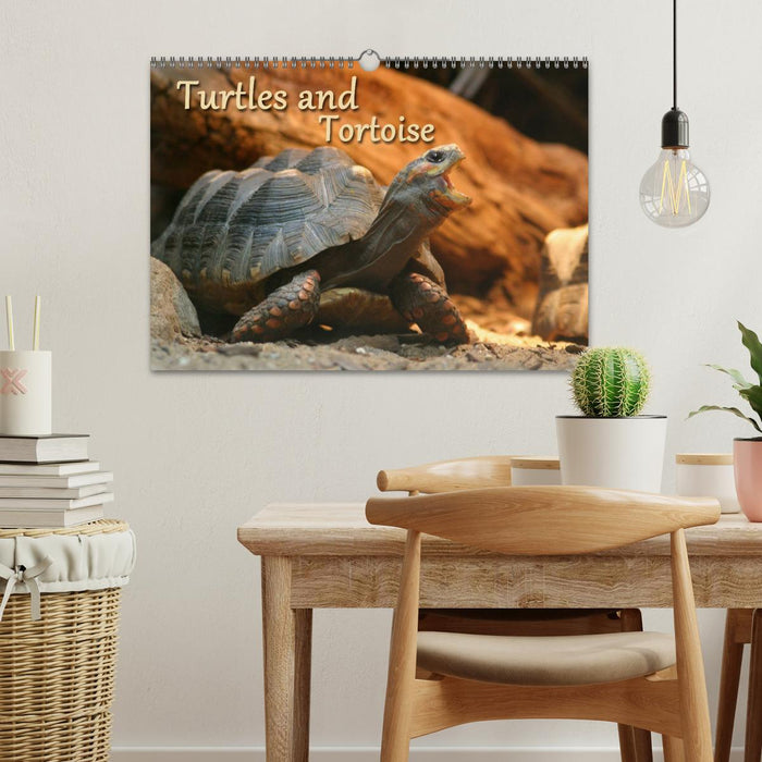 Turtles and Tortoise / UK-Version (CALVENDO Monthly Calendar 2026)