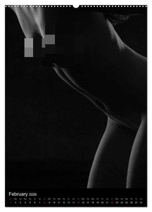Erotic Silhouettes / UK-Version (CALVENDO Premium-Calendar 2026)