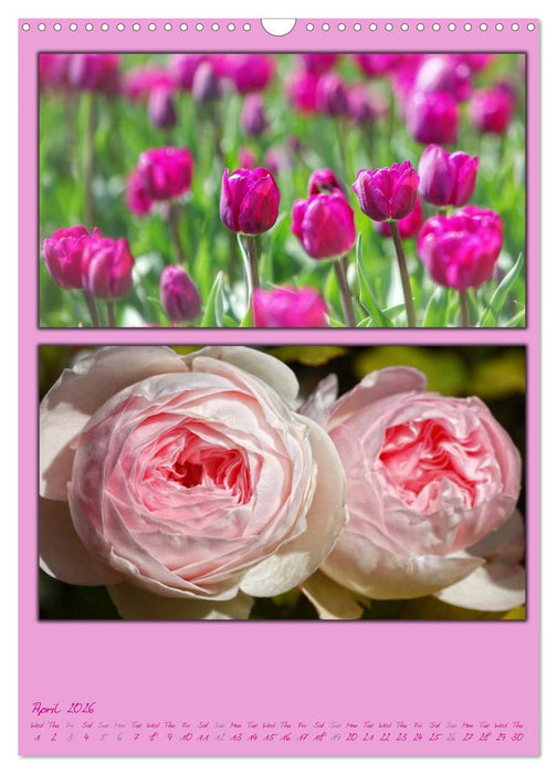 Colours of Nature / UK-Version (CALVENDO Monthly Calendar 2026)