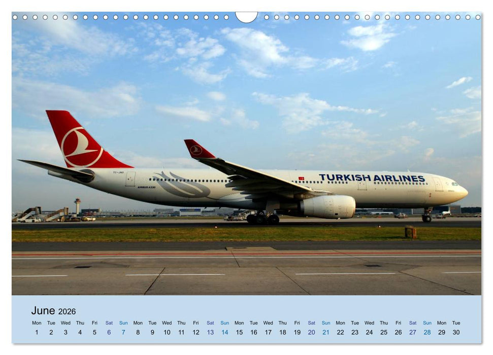 Wings over Frankfurt (UK Edition) (CALVENDO Monthly Calendar 2026)