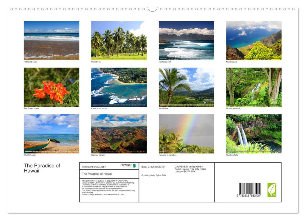 The Paradise of Hawaii (CALVENDO Premium-Calendar 2026)