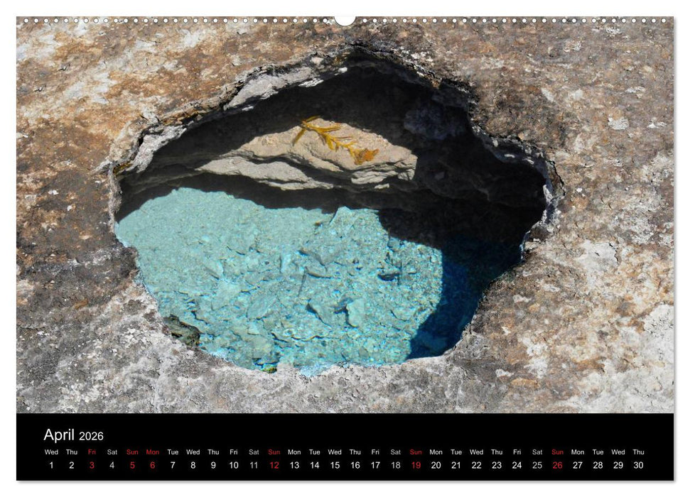 The Yellowstone National Park (CALVENDO Premium-Calendar 2026)