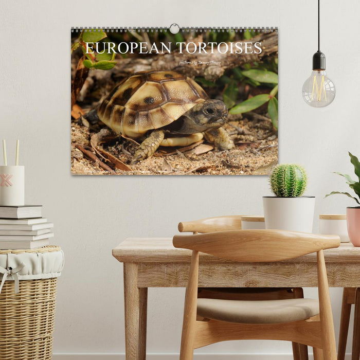 European Tortoises / UK-Version (CALVENDO Monthly Calendar 2026)