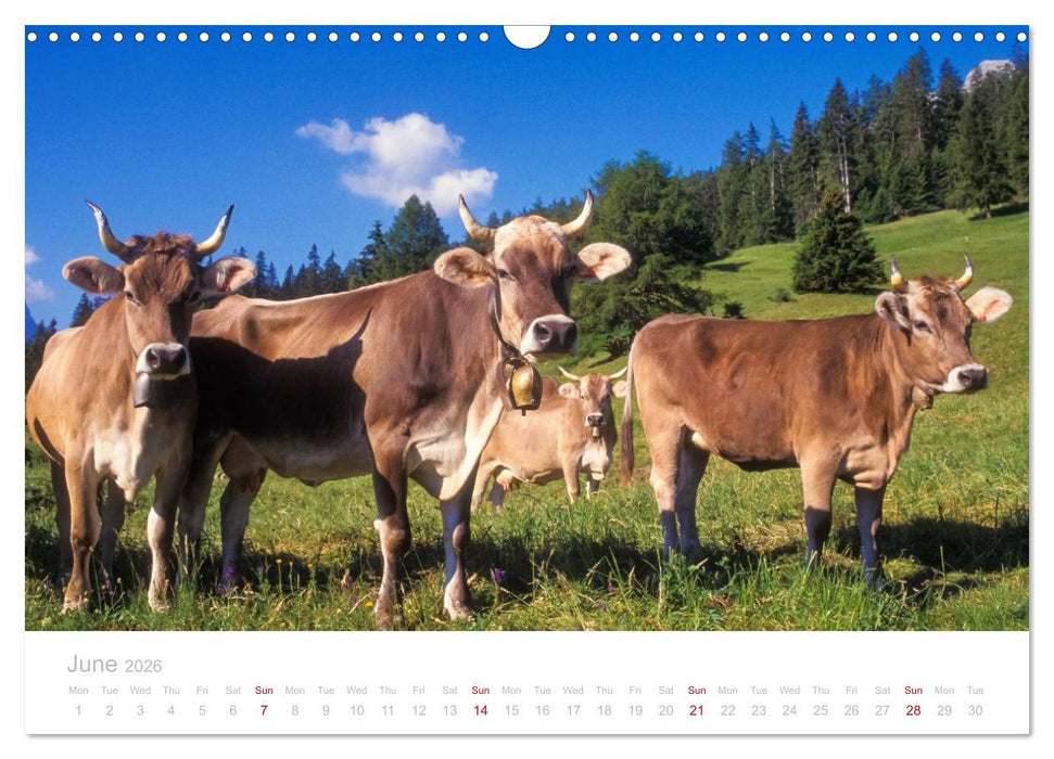 Grisons Engadine 2026 / UK-Version (CALVENDO Monthly Calendar 2026)