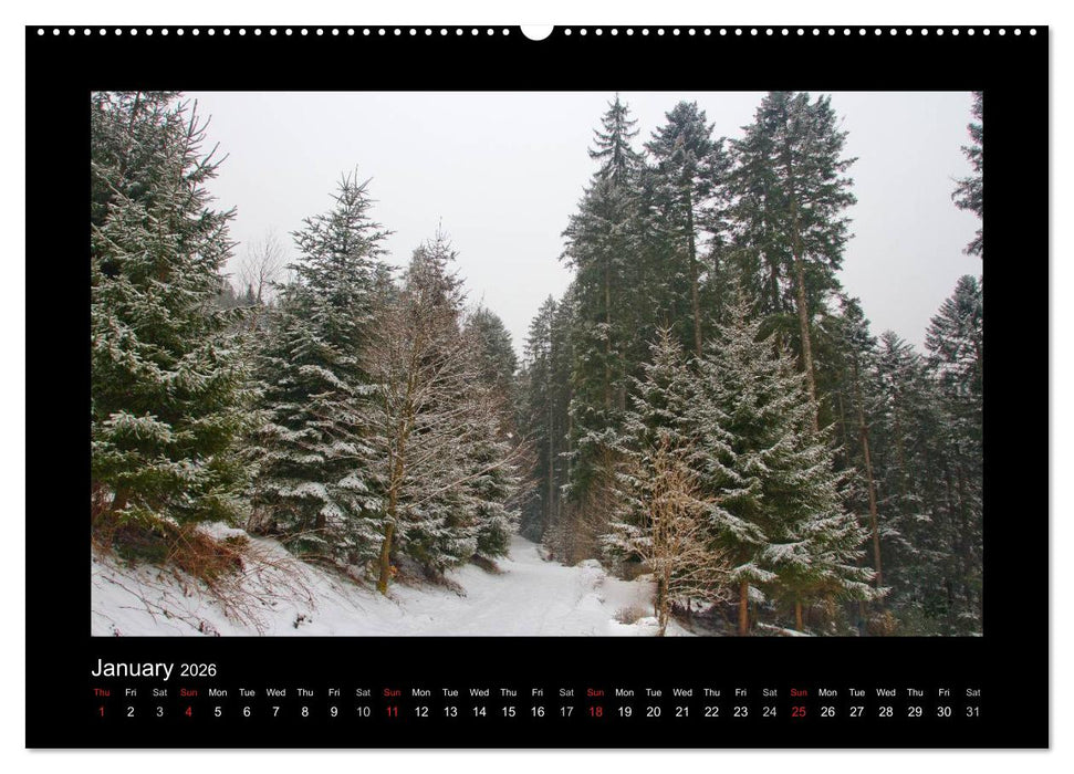 The Black Forest - UK Version (CALVENDO Premium-Calendar 2026)