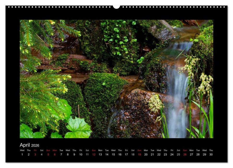 The Black Forest - UK Version (CALVENDO Premium-Calendar 2026)