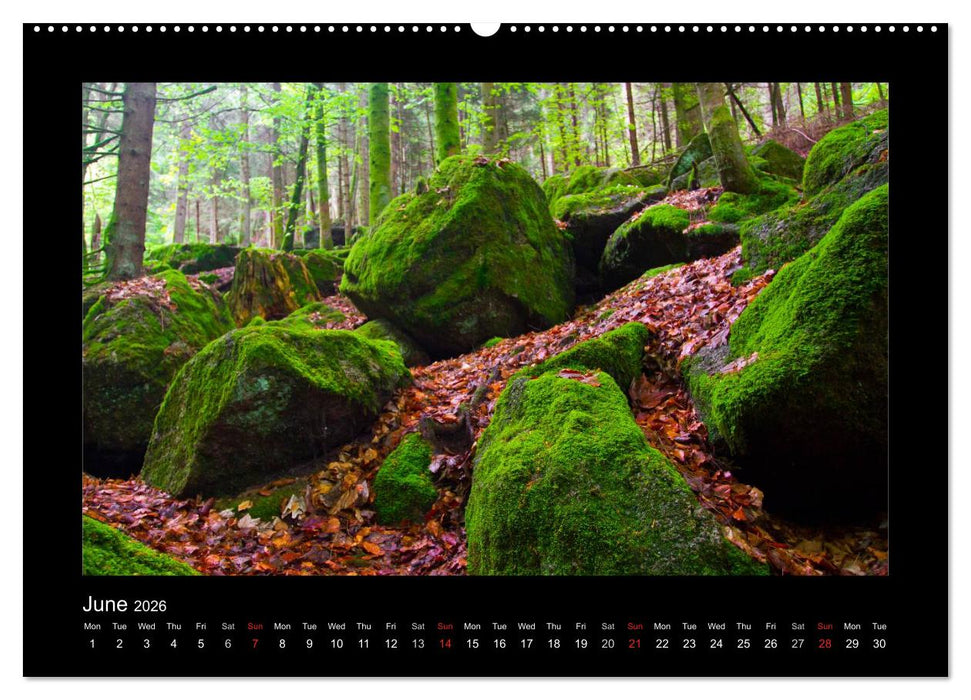 The Black Forest - UK Version (CALVENDO Premium-Calendar 2026)