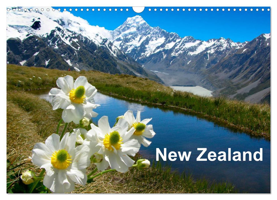 New Zealand (CALVENDO Monthly Calendar 2026)
