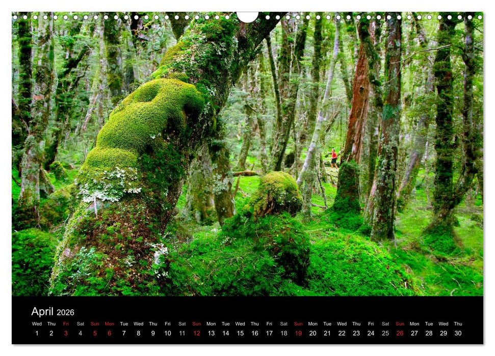 New Zealand (CALVENDO Monthly Calendar 2026)