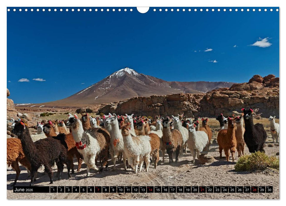 Bolivia Andean landscapes / UK-Version (CALVENDO Monthly Calendar 2026)
