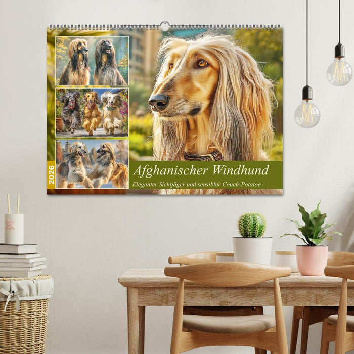Afghanischer Windhund. Eleganter Sichtjäger und sensibler Couch-Potatoe (CALVENDO Wandkalender 2026)