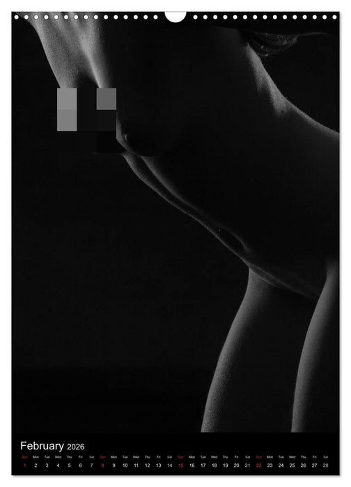 Erotic Silhouettes / UK-Version (CALVENDO Monthly Calendar 2026)