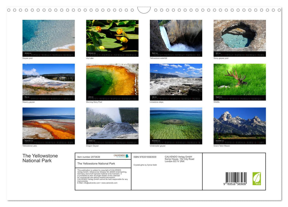 The Yellowstone National Park (CALVENDO Monthly Calendar 2026)
