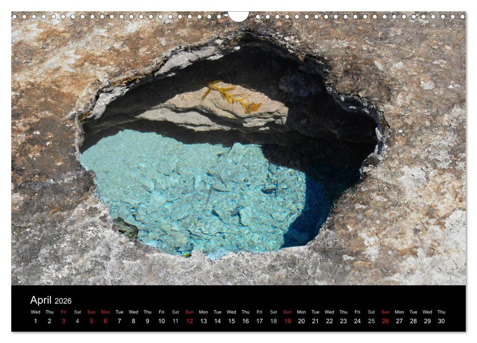 The Yellowstone National Park (CALVENDO Monthly Calendar 2026)