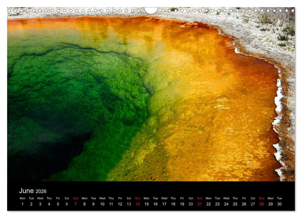 The Yellowstone National Park (CALVENDO Monthly Calendar 2026)
