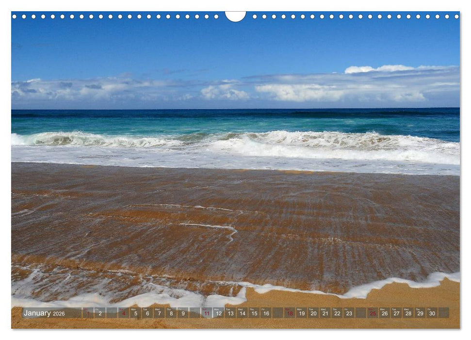The Paradise of Hawaii (CALVENDO Monthly Calendar 2026)