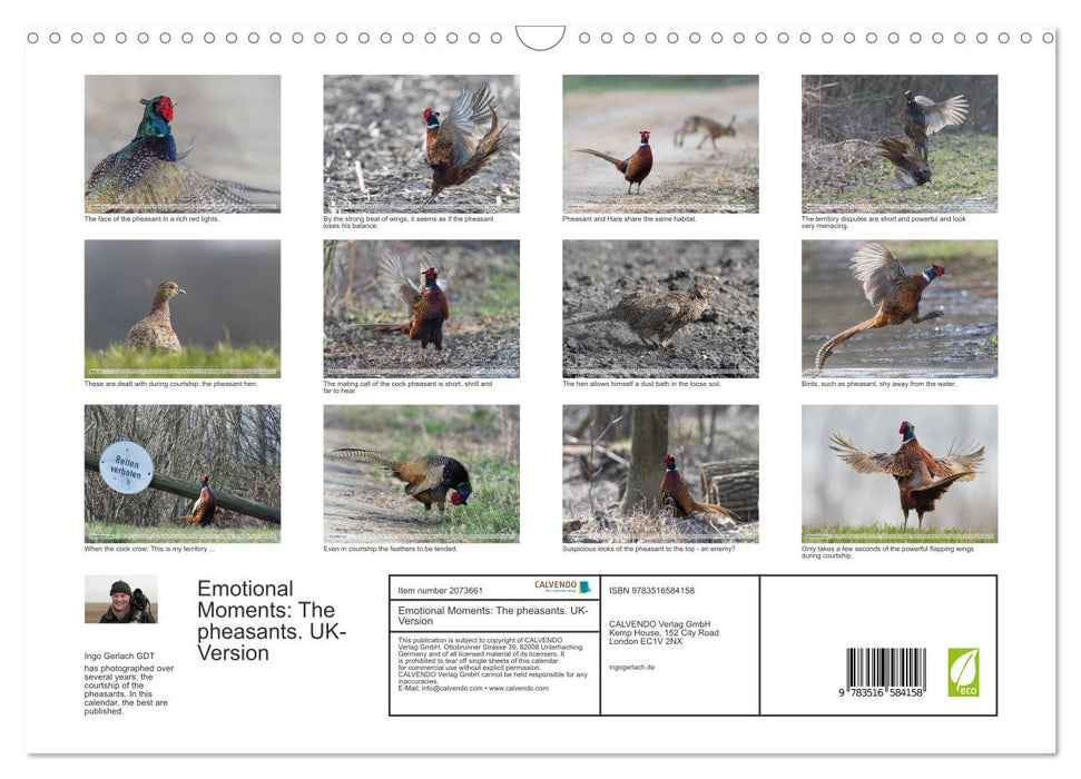 Emotional Moments: The pheasants. UK-Version (CALVENDO Monthly Calendar 2026)