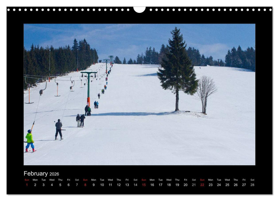 The Black Forest - UK Version (CALVENDO Monthly Calendar 2026)