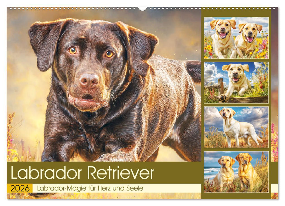 Labrador Retriever. Labrador-Magie für Herz und Seele (CALVENDO Wandkalender 2026)