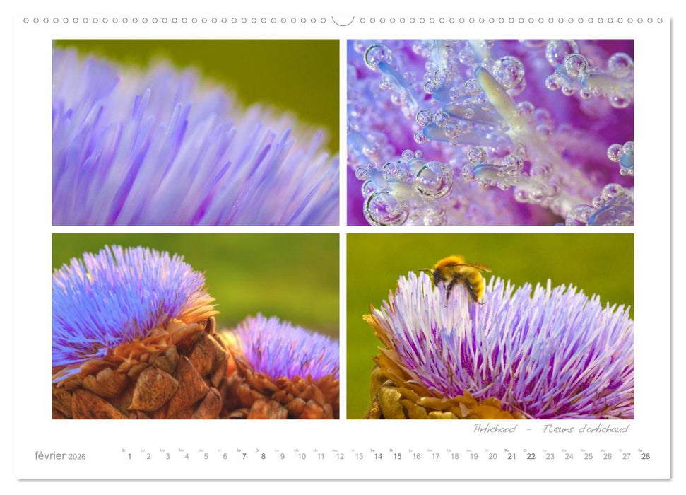 Rêves de Bretagne - Breizh (CALVENDO Calendrier mensuel 2026)