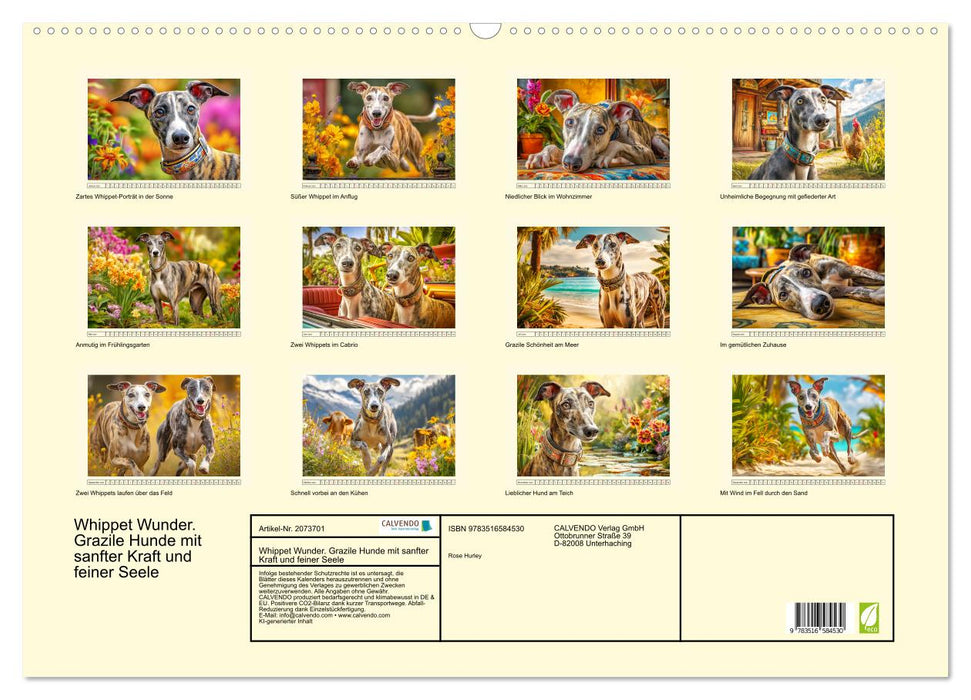 Whippet Wunder. Grazile Hunde mit sanfter Kraft und feiner Seele (CALVENDO Wandkalender 2026)