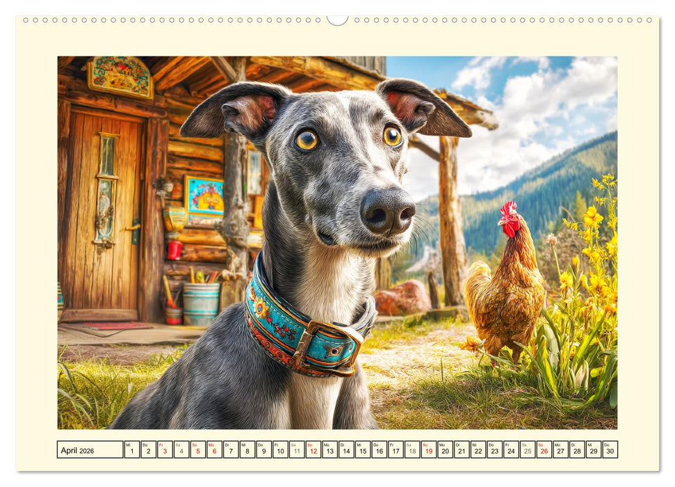 Whippet Wunder. Grazile Hunde mit sanfter Kraft und feiner Seele (CALVENDO Wandkalender 2026)