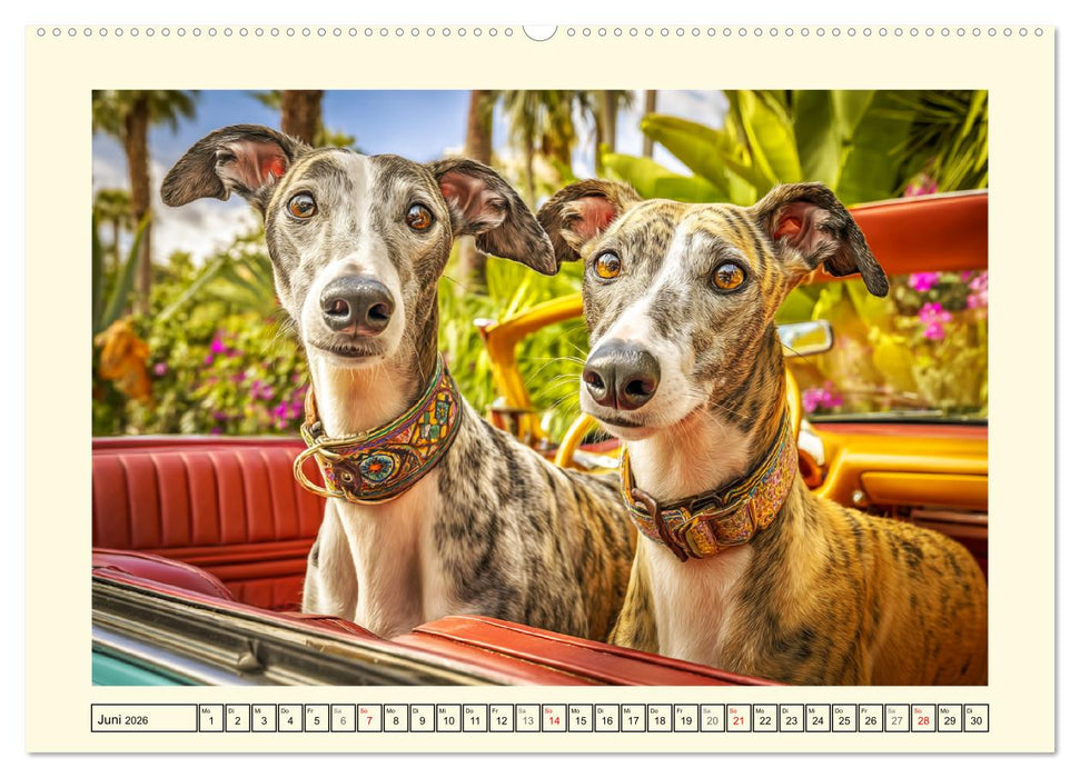 Whippet Wunder. Grazile Hunde mit sanfter Kraft und feiner Seele (CALVENDO Wandkalender 2026)