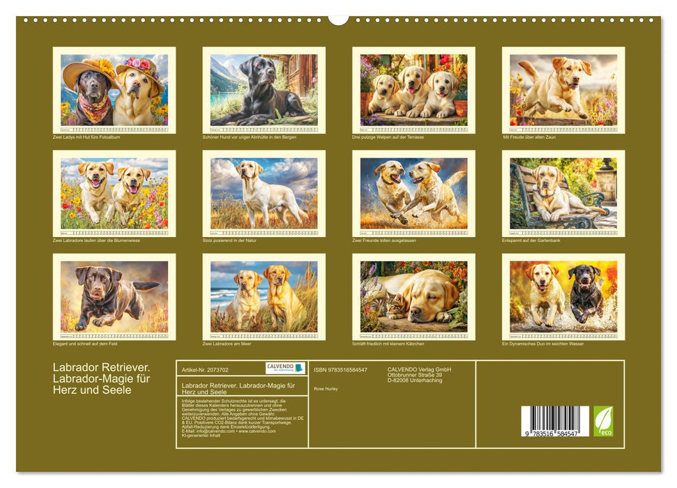 Labrador Retriever. Labrador-Magie für Herz und Seele (CALVENDO Premium Wandkalender 2026)