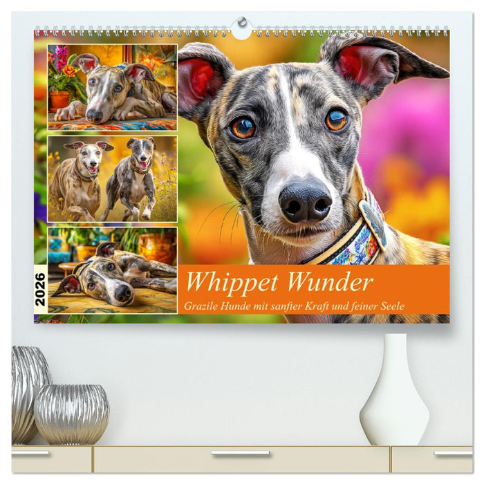 Whippet Wunder. Grazile Hunde mit sanfter Kraft und feiner Seele (CALVENDO Premium Wandkalender 2026)