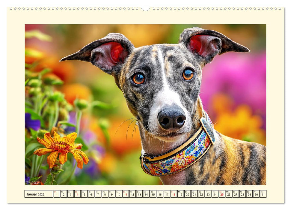 Whippet Wunder. Grazile Hunde mit sanfter Kraft und feiner Seele (CALVENDO Premium Wandkalender 2026)