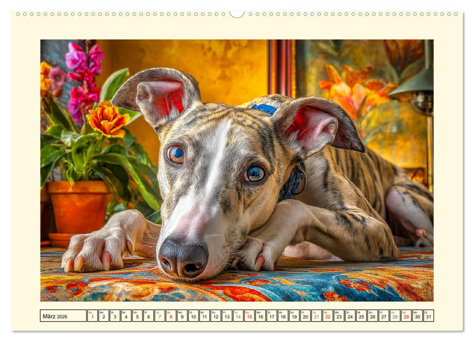 Whippet Wunder. Grazile Hunde mit sanfter Kraft und feiner Seele (CALVENDO Premium Wandkalender 2026)