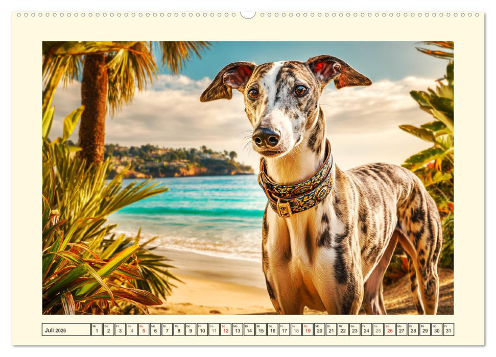 Whippet Wunder. Grazile Hunde mit sanfter Kraft und feiner Seele (CALVENDO Premium Wandkalender 2026)
