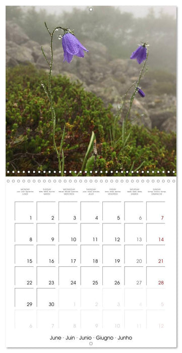 Norway Glory (CALVENDO Monthly Calendar 2026)